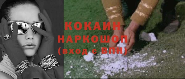 молекула духа Арсеньев