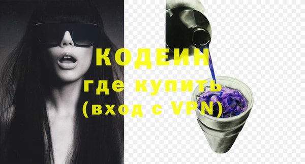 молекула духа Арсеньев