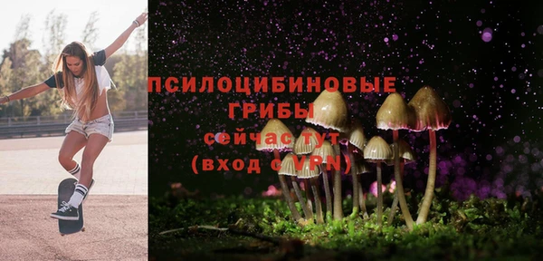 гидропоника Аркадак
