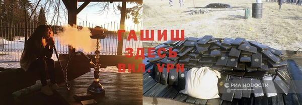 молекула духа Арсеньев