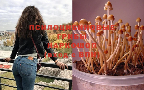 молекула духа Арсеньев