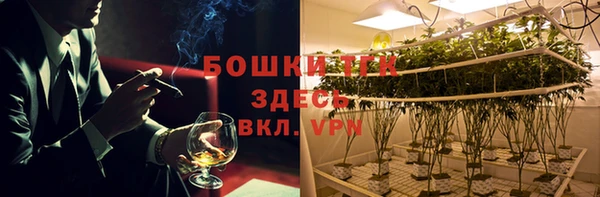 молекула духа Арсеньев