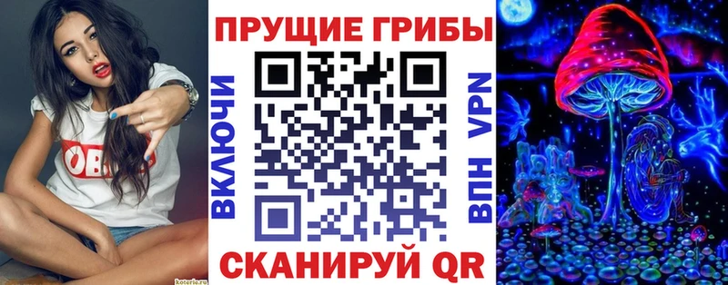 Купить  Велиж  Псилоцибиновые грибы мицелий 